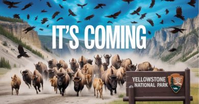 6 Anomalies Inexpliquées dans les Parcs Nationaux Américains