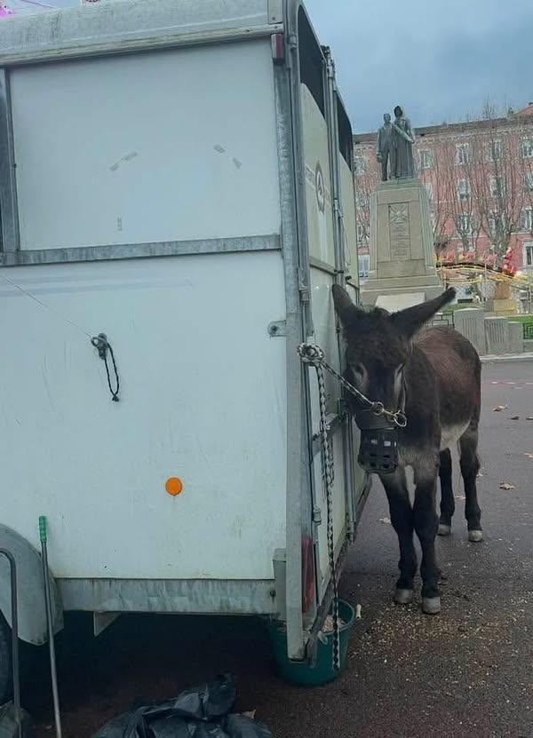 Equitable-Corse : une nouvelle initiative pour promouvoir l’équité sur l’île