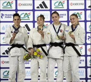 Championnat de France 1D 2025 : Saint-Étienne en quête de la montée