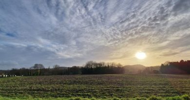 Météo en Belgique : temps calme avec grisailles et éclaircies à prévoir - RTBF Actus