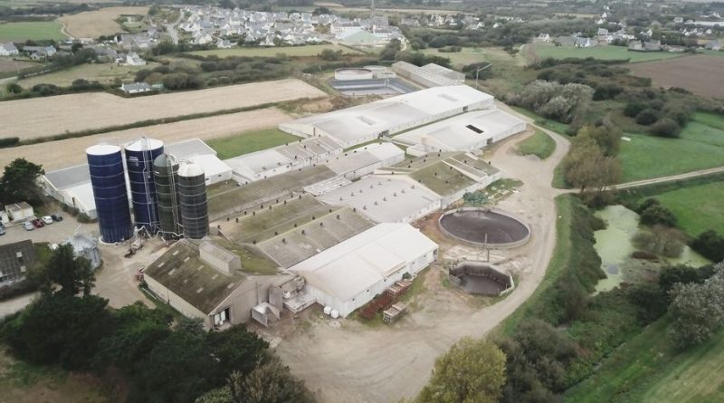 Contentieux judiciaire sur l'extension d'une méga-porcherie dans le Finistère : les détails