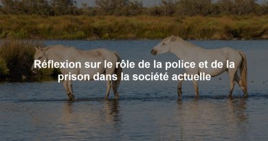 Réflexion sur le rôle de la police et de la prison dans la société actuelle