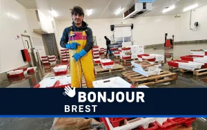 Criée de Noël, panne d'ascenseur et cadeaux : les actualités de Brest