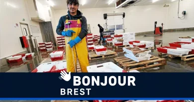 Criée de Noël, panne d'ascenseur et cadeaux : les actualités de Brest