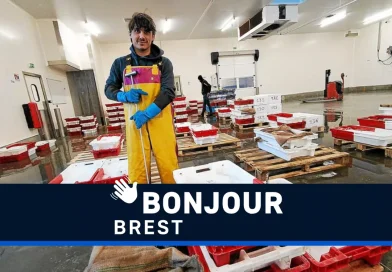 Criée de Noël, panne d'ascenseur et cadeaux : les actualités de Brest