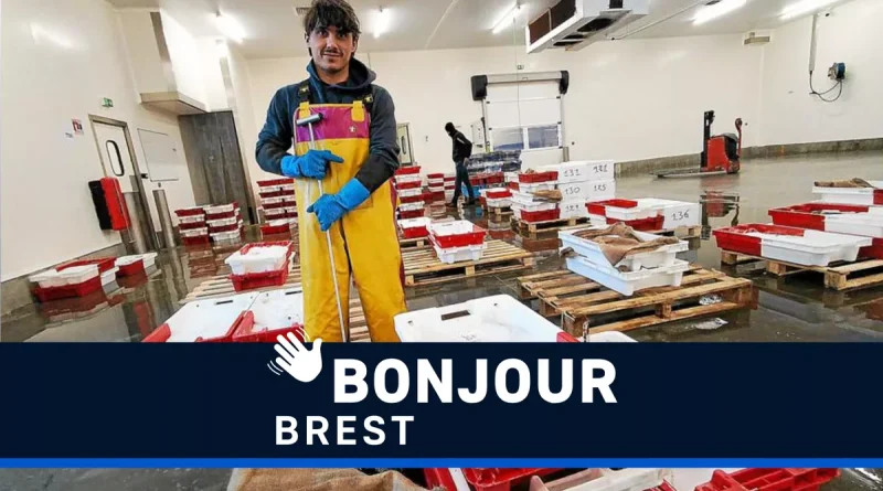 Criée de Noël, panne d'ascenseur et cadeaux : les actualités de Brest