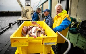 Du Guilvinec à vos assiettes : découvrez les coulisses de la pêche bretonne