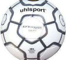 Claude Puel nommé nouvel entraîneur de l’OGC Nice : ce que cela change pour le club et ses supporters Ligue 1 : les enjeux majeurs de la saison de football en France