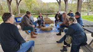 « Regarder autrement leurs prairies » : comment l’autopsie d’une botte de foin transforme le regard des agriculteurs en Brenne