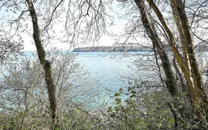 À Plouzané, le Cercle des nageurs de Brest propose de se jeter à l’eau au Dellec le premier de l'An