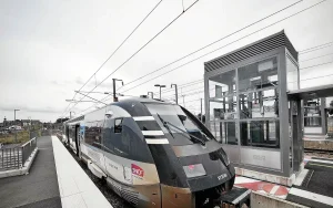 Un TER bloqué plusieurs heures à hauteur d'Yffiniac après avoir heurté un sanglier