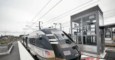 Un TER bloqué plusieurs heures à hauteur d'Yffiniac après avoir heurté un sanglier