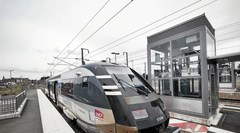 Un TER bloqué plusieurs heures à hauteur d'Yffiniac après avoir heurté un sanglier