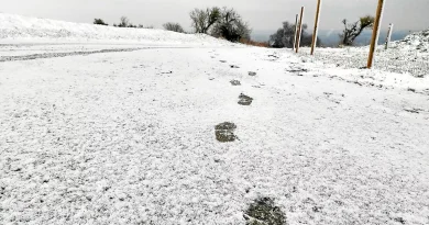 « Températures ressenties négatives » : le préfet du Finistère prolonge le plan « grand froid » jusqu’au lundi 5 janvier 2026