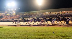 Hippisme : Graignes clôture la saison 2025 ce mardi avec une réunion Premium en semi-nocturne