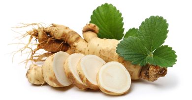 Ginseng : un remède naturel contre le teint terne et le relâchement cutané