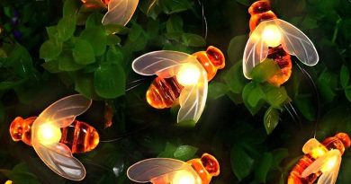 Guirlande lumineuse solaire de jardin 50 LED – 7 m – 8 modes – Étanche – Pour extérieur et intérieur – Pour clôture, pelouse, patio, fête d’été, Noël, vacances (blanc chaud) – Pourquoi ce produit mérite votre attention Guirlande lumineuse solaire de jardin 50 LED – 7 m – 8 modes – Étanche – Pour extérieur et intérieur – Pour clôture, pelouse, patio, fête d’été, Noël, vacances (blanc chaud) – Pourquoi ce produit mérite votre attention