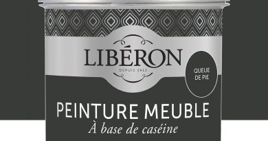 Libéron – Peinture Meuble à base de Caséine – Peinture Bois Intérieur – Haut Pouvoir Couvrant – Confort d&rsquo;Application – Décoration et Rénovation meuble et objets – 40 Teintes – Queue de Pie – 500 ML – Pourquoi ce produit mérite votre attention