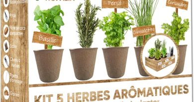 NOPALIA® Kit Herbes Aromatiques Bio Prêt à Pousser – 5 Variétés (Basilic, Persil, Ciboulette, Coriandre, Romarin) Pots Biodégradables, Terre & Ebook Recettes – Cadeau Cuisine Noël – Le détail qui change tout au quotidien