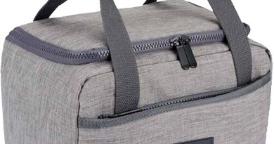 edihome, Sac Isotherme Repas, Lunch Box Isotherme, 8L, Déjeuner pour le travail, Portable, pour Manger pendant le voyage (Gris) – Pourquoi ce produit mérite votre attention