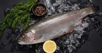 Menu de fêtes : la truite fumée wallonne, alternative durable au saumon