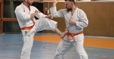 120 licenciés, une ceinture noire et le père Noël : la grande soirée du passage de grade à Ippon Karaté Abbeville Passage de grade réussi pour la grande famille d’Ippon Karaté Abbeville