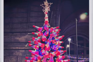 De la Trump Tower au Queens : à la quête du sapin idéal pour les fêtes