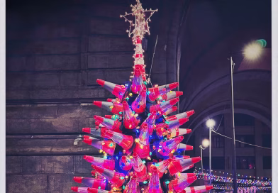 De la Trump Tower au Queens : à la quête du sapin idéal pour les fêtes