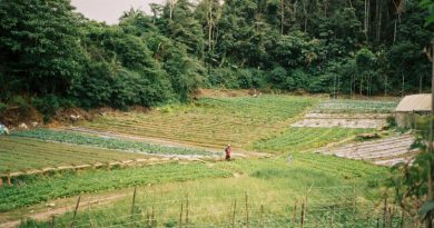 8 milliards de voisins - Comment préserver les savoir-faire agricoles des Outre-Mer ?