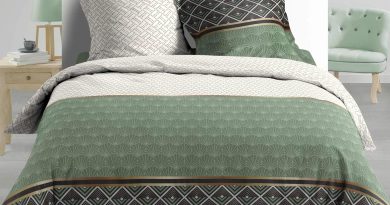 Douceur d&rsquo;Intérieur Parure 3 Pièces 240 x 220 cm Percale Imprime Belor Vert – Pourquoi ce produit mérite votre attention