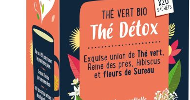 BiOrigine – Thé vert bio – Thé détox – Fleurs de sureau hibiscus reine des prés – 20 sachets – Le détail qui change tout au quotidien