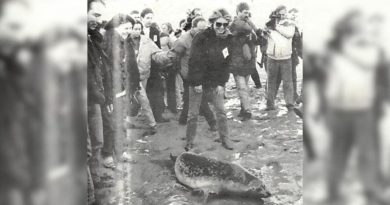 Une icône s’en va : Quand Brigitte Bardot relâchait un phoque en Baie de Somme