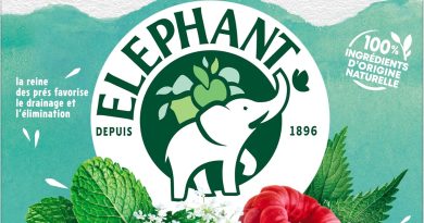 Elephant, Infusion Détox Fraicheur, Goût Reine des Près, Menthe Poivrée et Framboise, Ingrédients d&rsquo;Origine 100% Naturelle, 20 Sachets Pyramid – Le détail qui change tout au quotidien