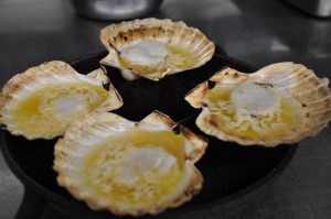 Le Pays d'Auge lance un concours pour la meilleure recette de coquilles Saint-Jacques