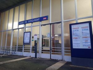 Près de Bernay. Un train percute un sanglier : 200 passagers à l’arrêt pendant deux heures