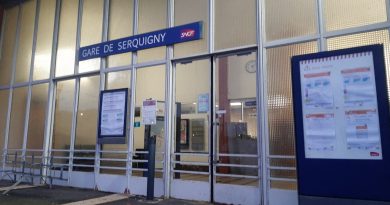 Près de Bernay. Un train percute un sanglier : 200 passagers à l’arrêt pendant deux heures