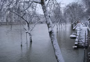 Le plan Grand Froid déclenché ce dimanche à Paris et en Île-de-France