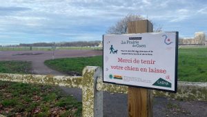 illustration agrandir l