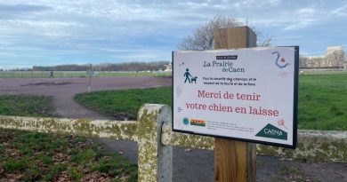 illustration agrandir l