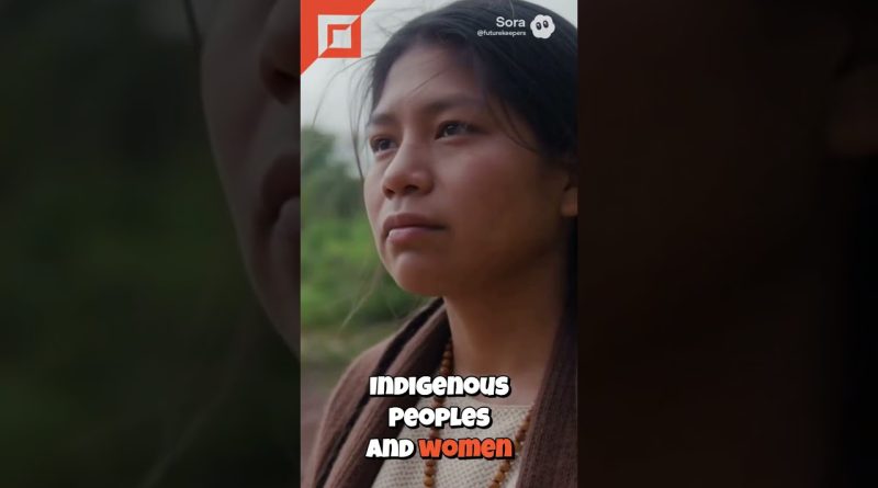 À la COP30, garantir une énergie renouvelable juste et équitable