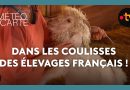 À la découverte des élevages français !
