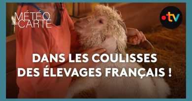 À la découverte des élevages français !