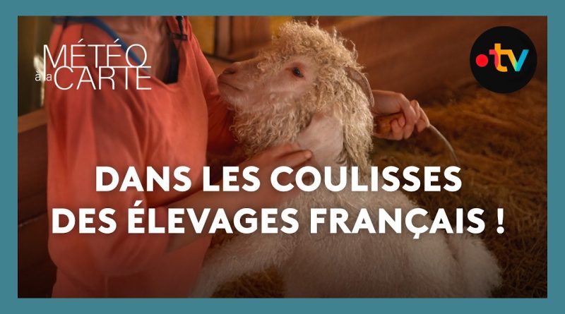 À la découverte des élevages français !