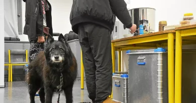 « À partir d’une certaine température, les nuits sont hard » : à Saint-Brieuc, cette salle est transformée en centre d’hébergement d’urgence