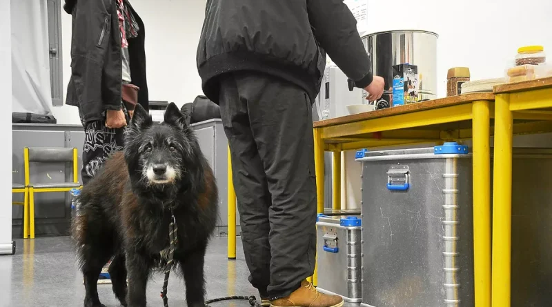 « À partir d’une certaine température, les nuits sont hard » : à Saint-Brieuc, cette salle est transformée en centre d’hébergement d’urgence