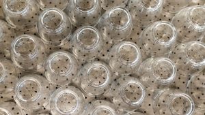 Pourquoi les coopératives comme Duralex favorisent l'implication des salariés et le partage de la valeur