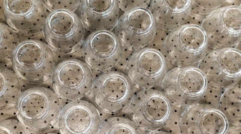 Pourquoi les coopératives comme Duralex favorisent l'implication des salariés et le partage de la valeur