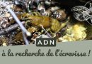 ADNe : Exploration des écrevisses !