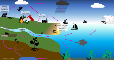 Nous pallions le défaut de photos qui pourtant illustrent les articles du magazine REPORTERRE ! ...