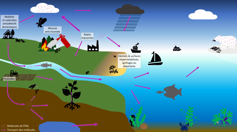 Nous pallions le défaut de photos qui pourtant illustrent les articles du magazine REPORTERRE ! ...